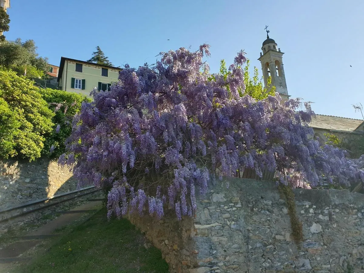 Salotto Sul Mare Bed & Breakfast Genoa